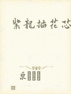 紫龙插花芯