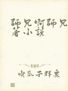 师兄啊师兄的原著小说