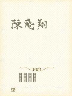 陈飞翔