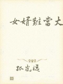 女婿难当大结局