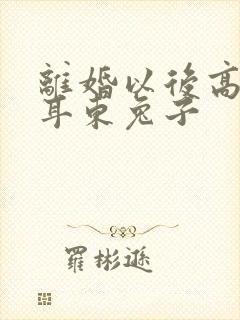 离婚以后高干 耳东兔子封面