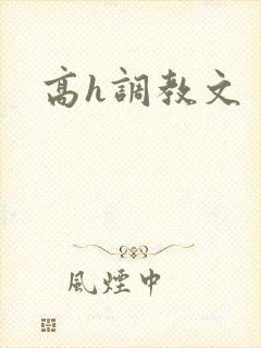 高h调教文