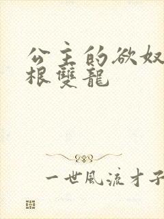 公主的欲奴h四根双龙