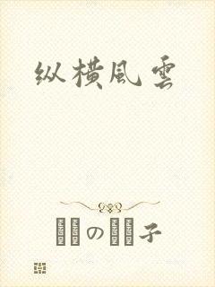 纵横风云