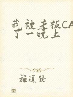 我被老板CAO了一晚上