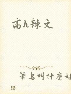 高h辣文
