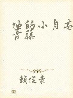 他的小月亮by青藤