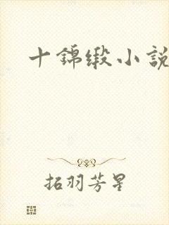 十锦缎小说