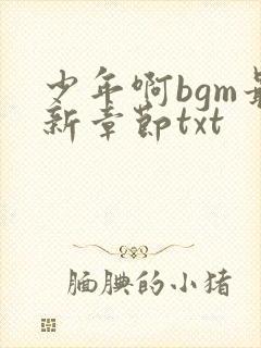 少年啊bgm最新章节txt