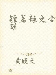 短篇辣文合集小说