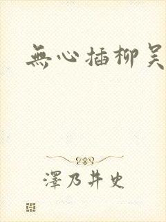 无心插柳吴悠封面