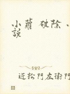 小萝 破除 小说