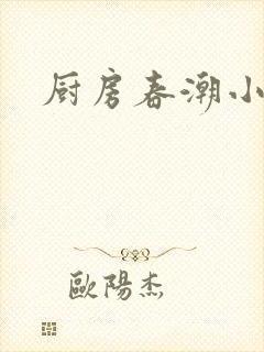厨房春潮小说