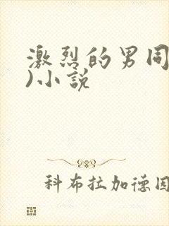 激烈的男同(h)小说
