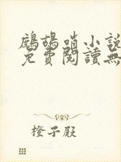 鹧鸪哨小说网站免费阅读无弹窗封面