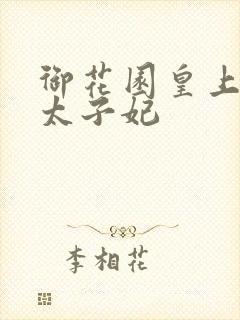 御花园皇上撞着太子妃封面