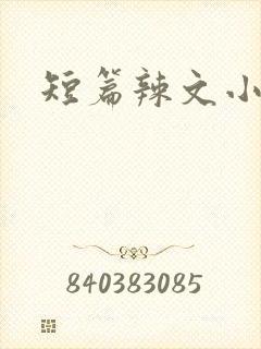 短篇辣文小说封面