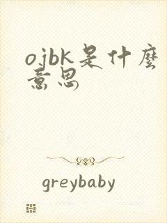 ojbk是什么意思封面