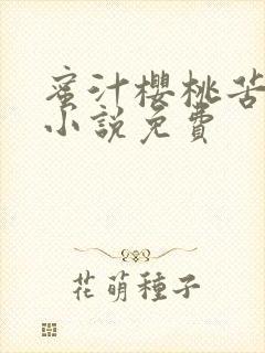 蜜汁樱桃苦咖啡小说免费封面