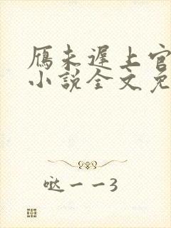 雁未迟上官穿越小说全文免费阅读