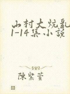 山村大炕乱肉续1-14集小说封面