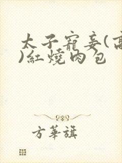太子宠妾(高肉)红烧肉包封面