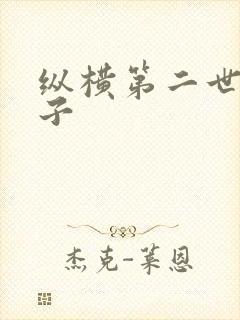 纵横第二世界宽子