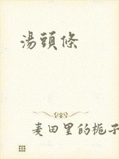 汤头条