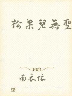 松果儿无圣光封面