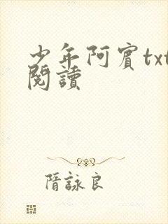 少年阿宾txt阅读