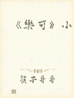《乐可》小说