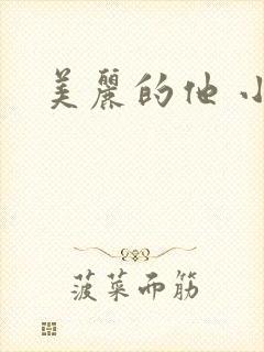 美丽的他 小说
