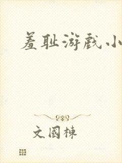 羞耻游戏小说