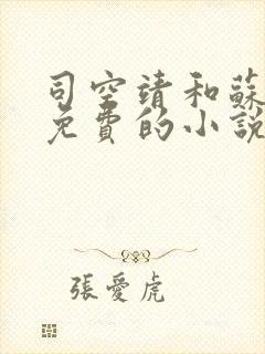 司空靖和苏月汐免费的小说笔趣阁