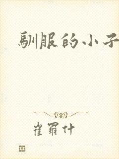 驯服的小子4