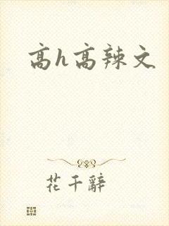 高h高辣文