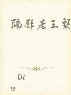 隔壁老王系统