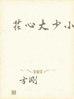 花心大少小说