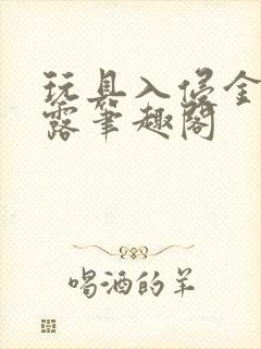 玩具入侵金银花露笔趣阁封面