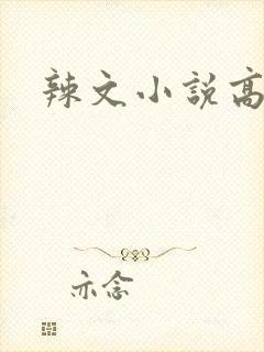 辣文小说高h封面