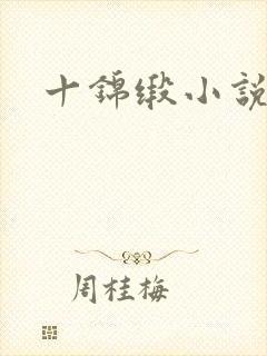 十锦缎小说封面