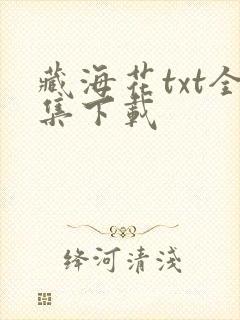藏海花txt全集下载