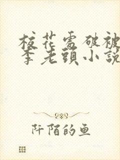 校花处破被灌满李老头小说