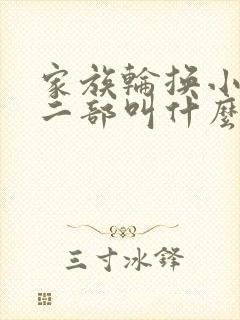 家族轮换小说第二部叫什么名字
