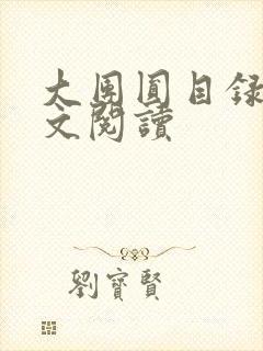 大团圆目录及全文阅读封面