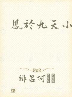 凤于九天小说