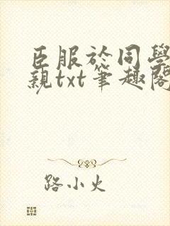 臣服于同学的母亲txt笔趣阁