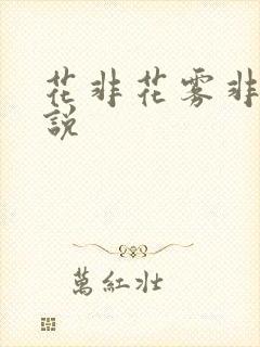 花非花雾非雾小说封面