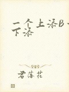 一个上添B一个下添