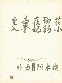 皇帝在御花园进入贵妃的小说